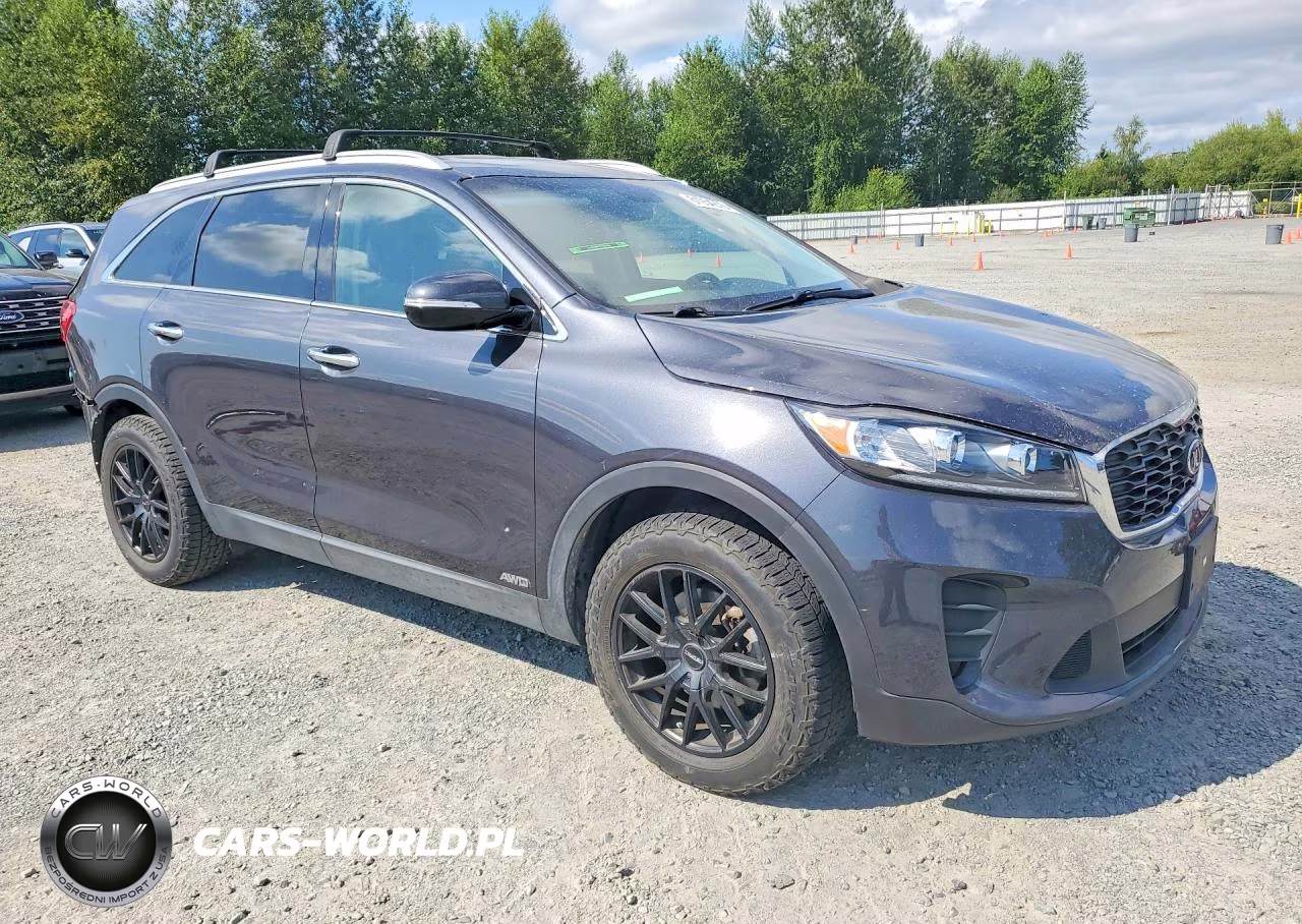 2019 Kia Sorento Lx VIN:5XYPGDA34KG541026 - 4