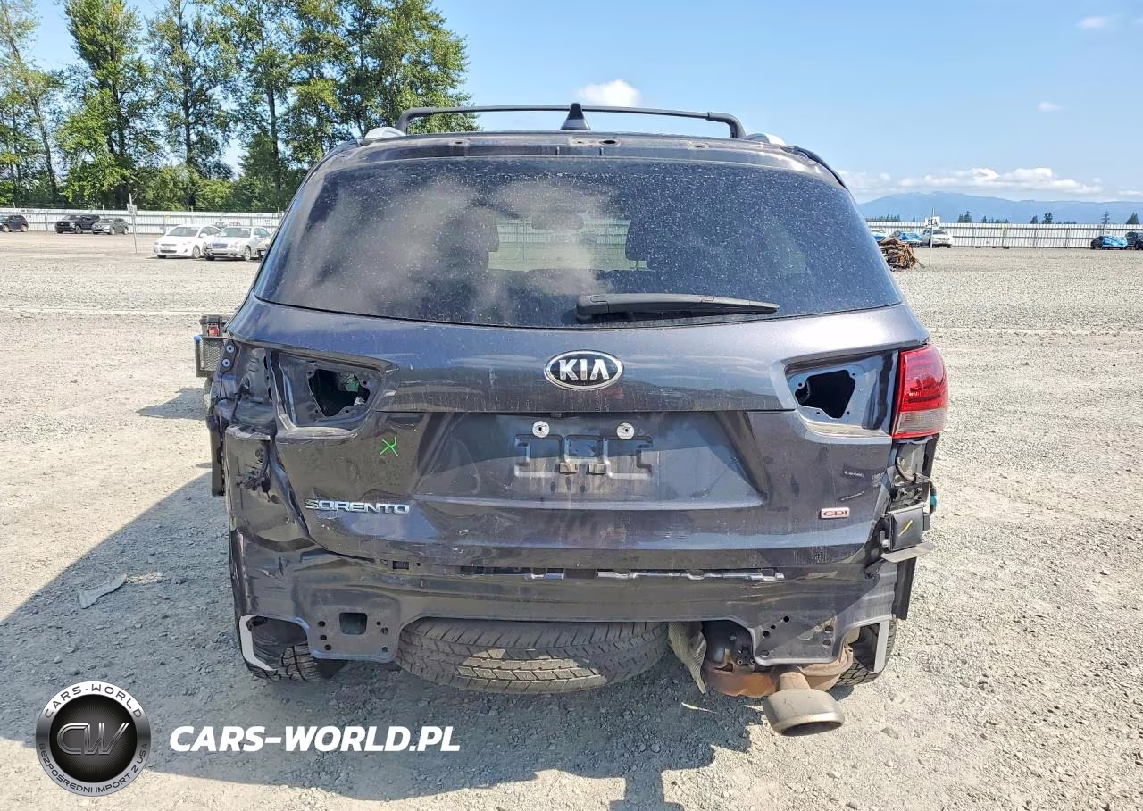 2019 Kia Sorento Lx VIN:5XYPGDA34KG541026 - 6