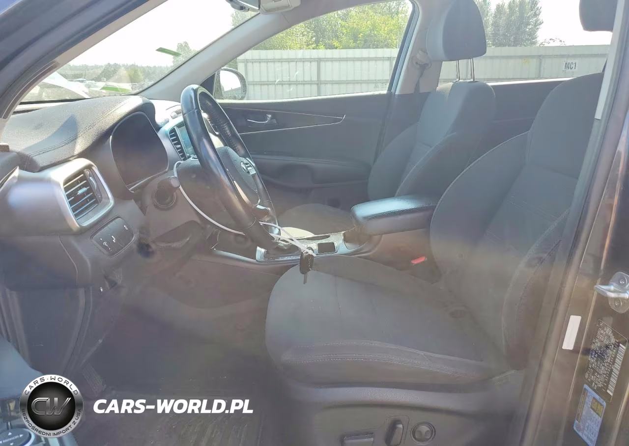 2019 Kia Sorento Lx VIN:5XYPGDA34KG541026 - 7