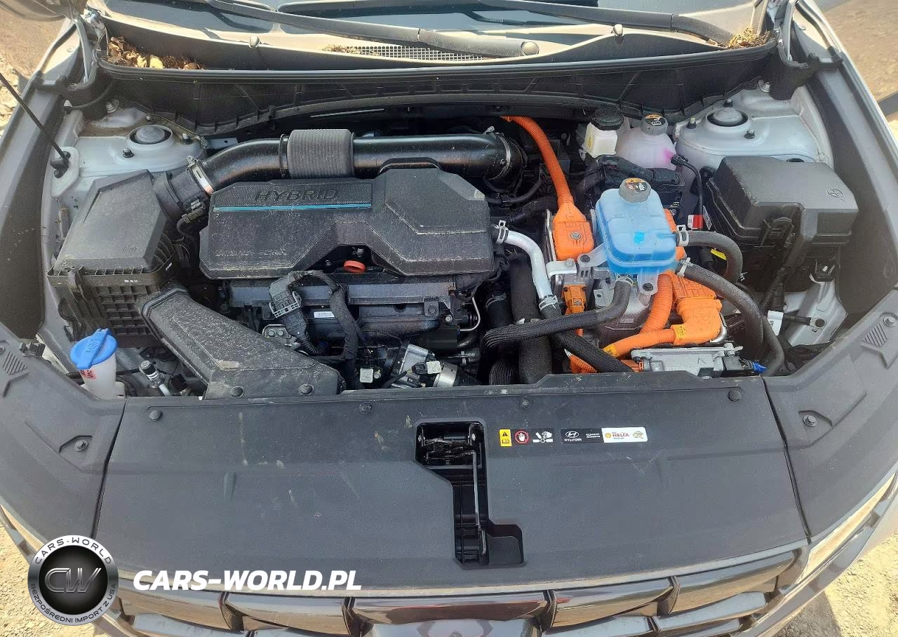 2024 Hyundai Tucson Sel VIN:KM8JBDD28RU190598 - 12
