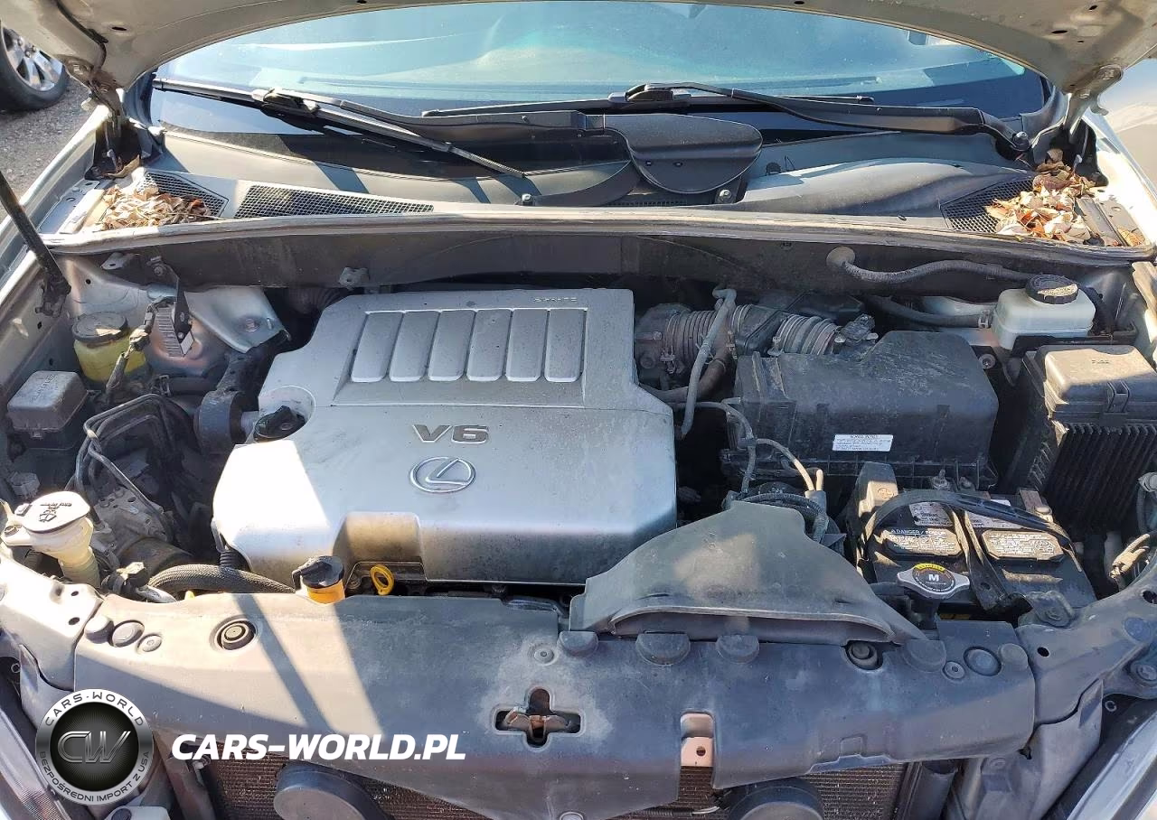 2009 Lexus Rx 350 VIN:2T2HK31U09C115860 - 12