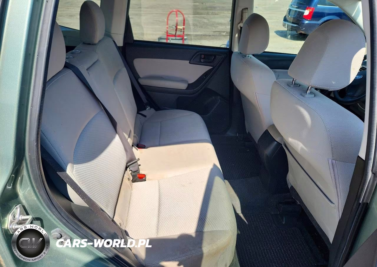 2016 Subaru Forester 2.5I Premium VIN:JF2SJADC5GH485507 - 10