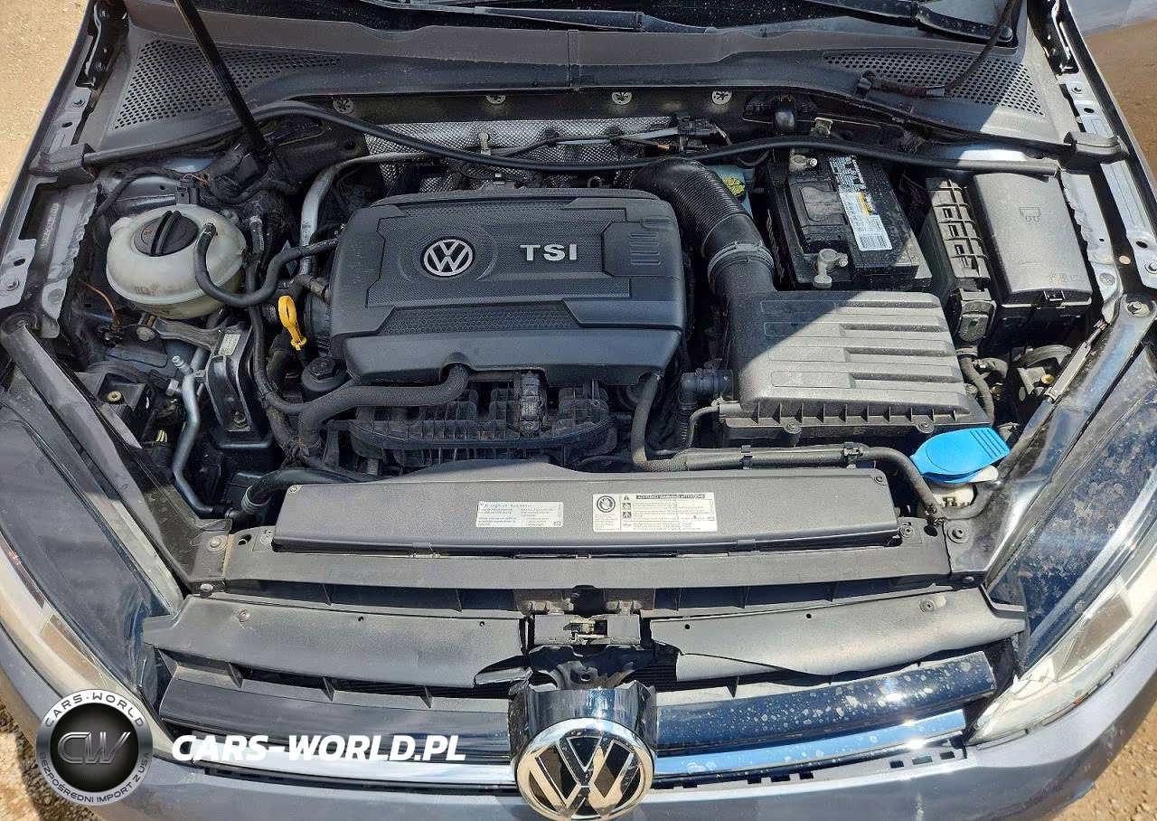 2016 Volkswagen Golf S-Se VIN:3VW217AU4GM029764 - 11