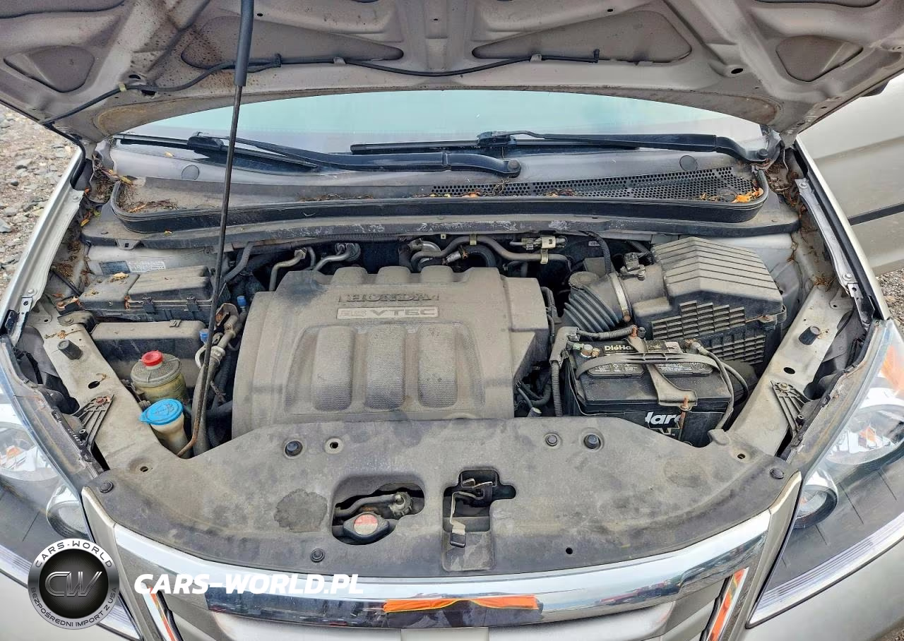 2009 Honda Odyssey Lx VIN:5FNRL38289B039004 - 12
