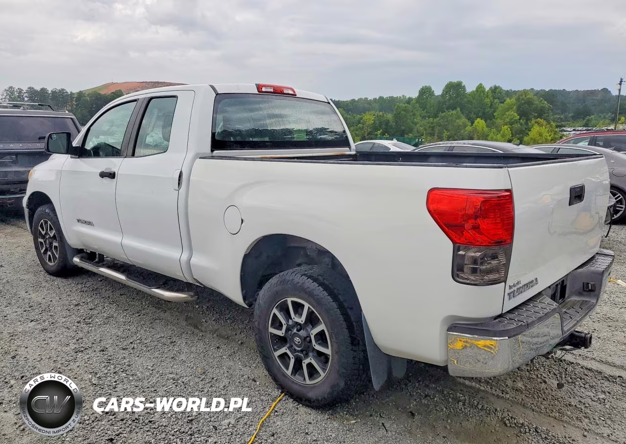 2009 Toyota Tundra Grade VIN:5TFRU54169X019894 - 2