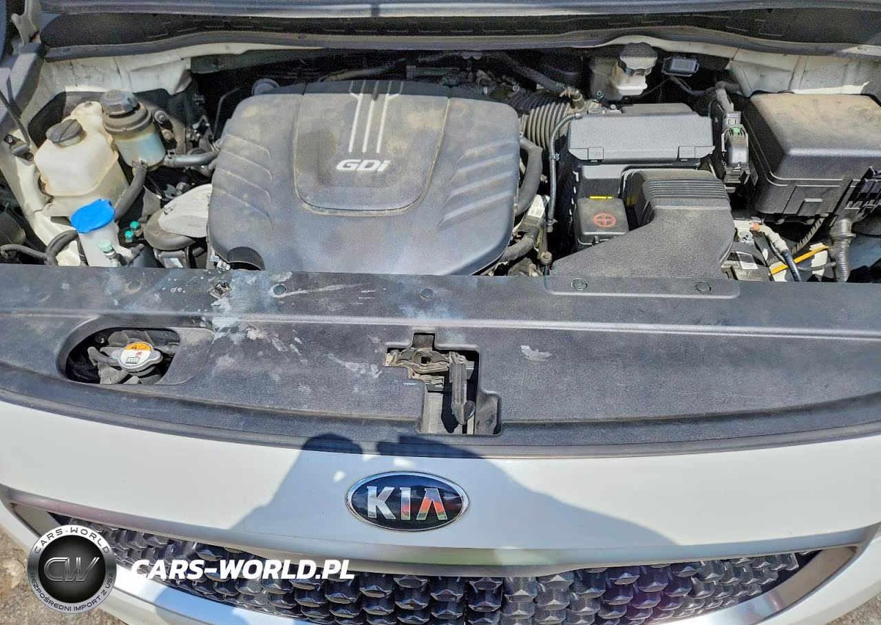 2017 Kia Sedona Lx VIN:KNDMB5C17H6245674 - 12