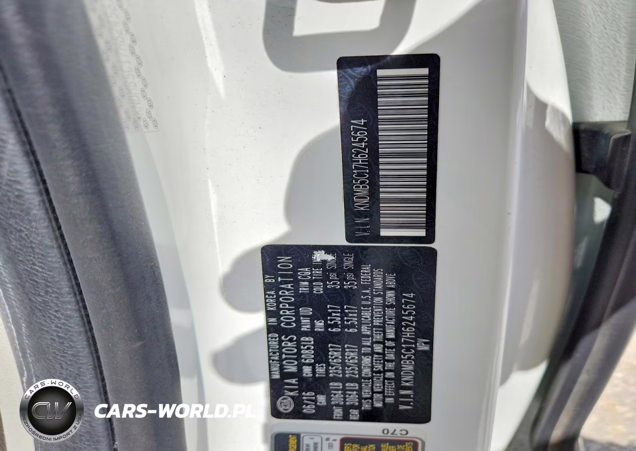 2017 Kia Sedona Lx VIN:KNDMB5C17H6245674 - 13