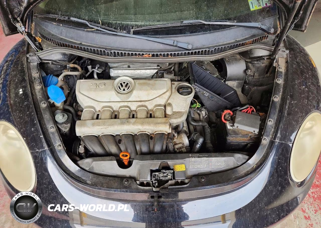 2008 Volkswagen New Beetle S VIN:3VWRG31C78M524278 - 11