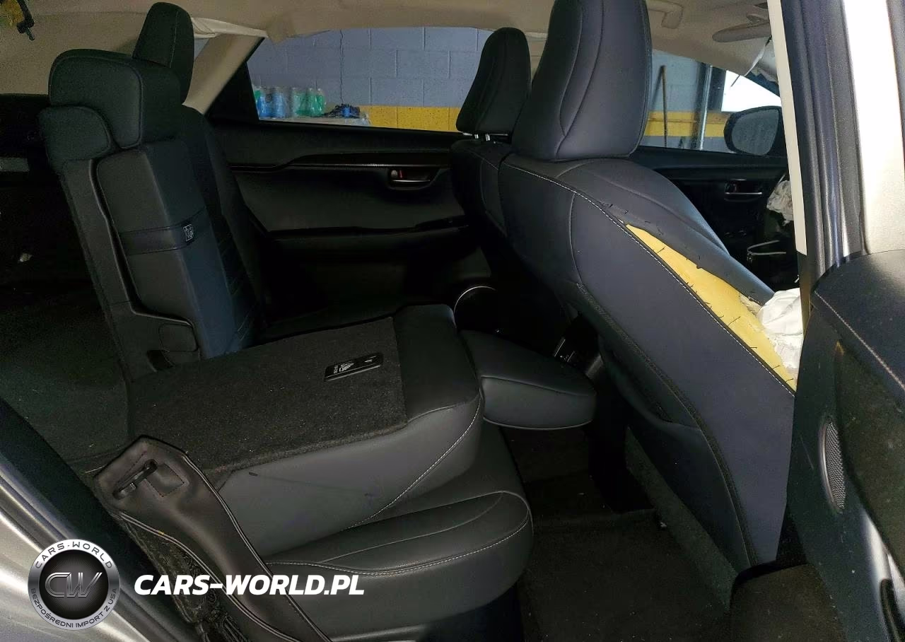 2020 Lexus Nx 300 Base VIN:JTJAARBZ3L2166052 - 10