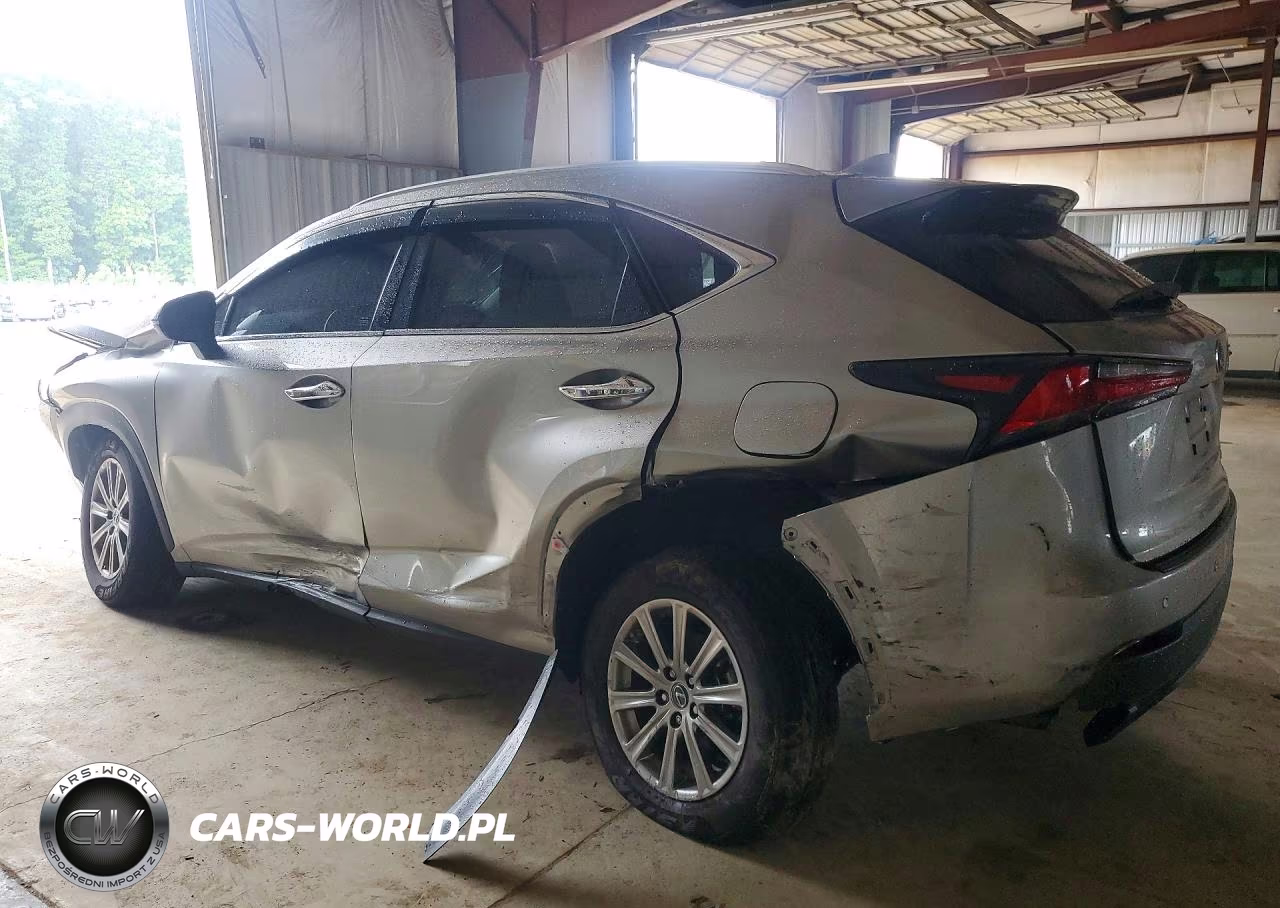 2020 Lexus Nx 300 Base VIN:JTJAARBZ3L2166052 - 2