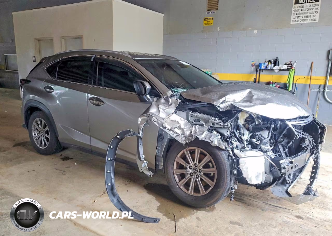 2020 Lexus Nx 300 Base VIN:JTJAARBZ3L2166052 - 4