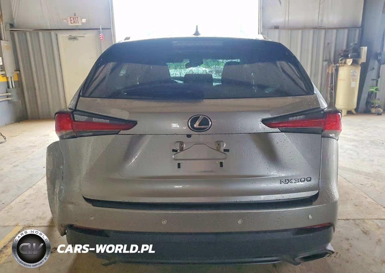 2020 Lexus Nx 300 Base VIN:JTJAARBZ3L2166052 - 6