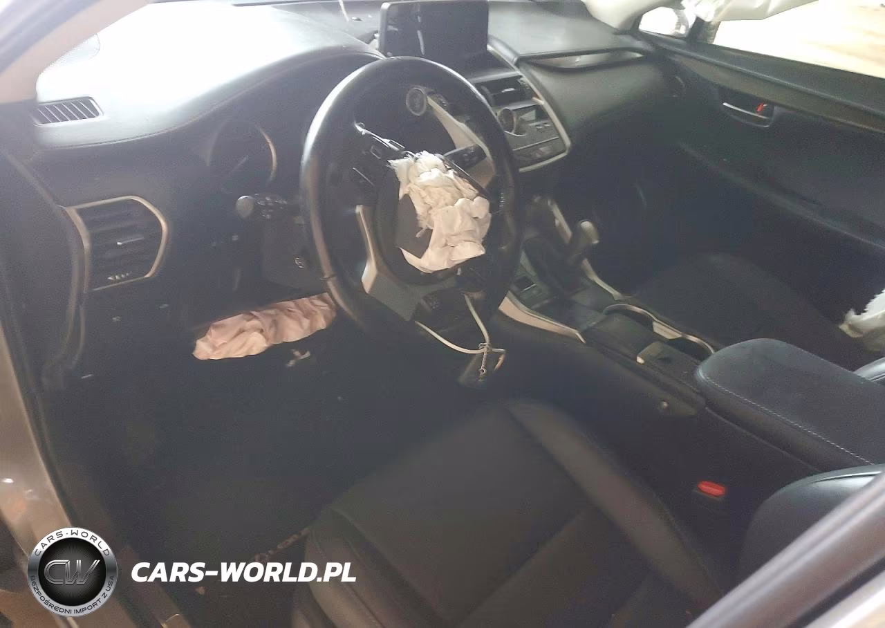 2020 Lexus Nx 300 Base VIN:JTJAARBZ3L2166052 - 8