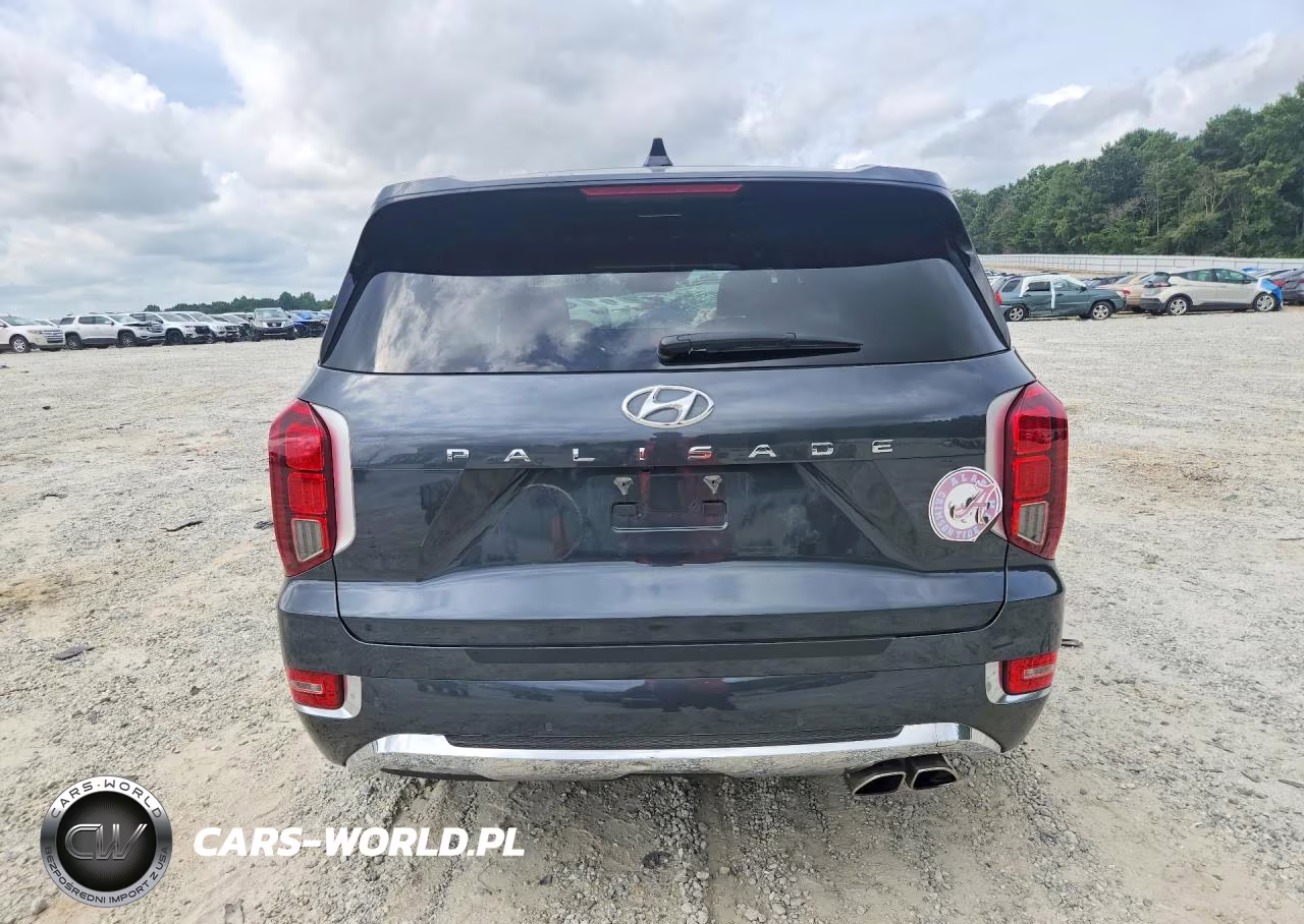 2020 Hyundai Palisade Limited VIN:KM8R54HE5LU071672 - 6