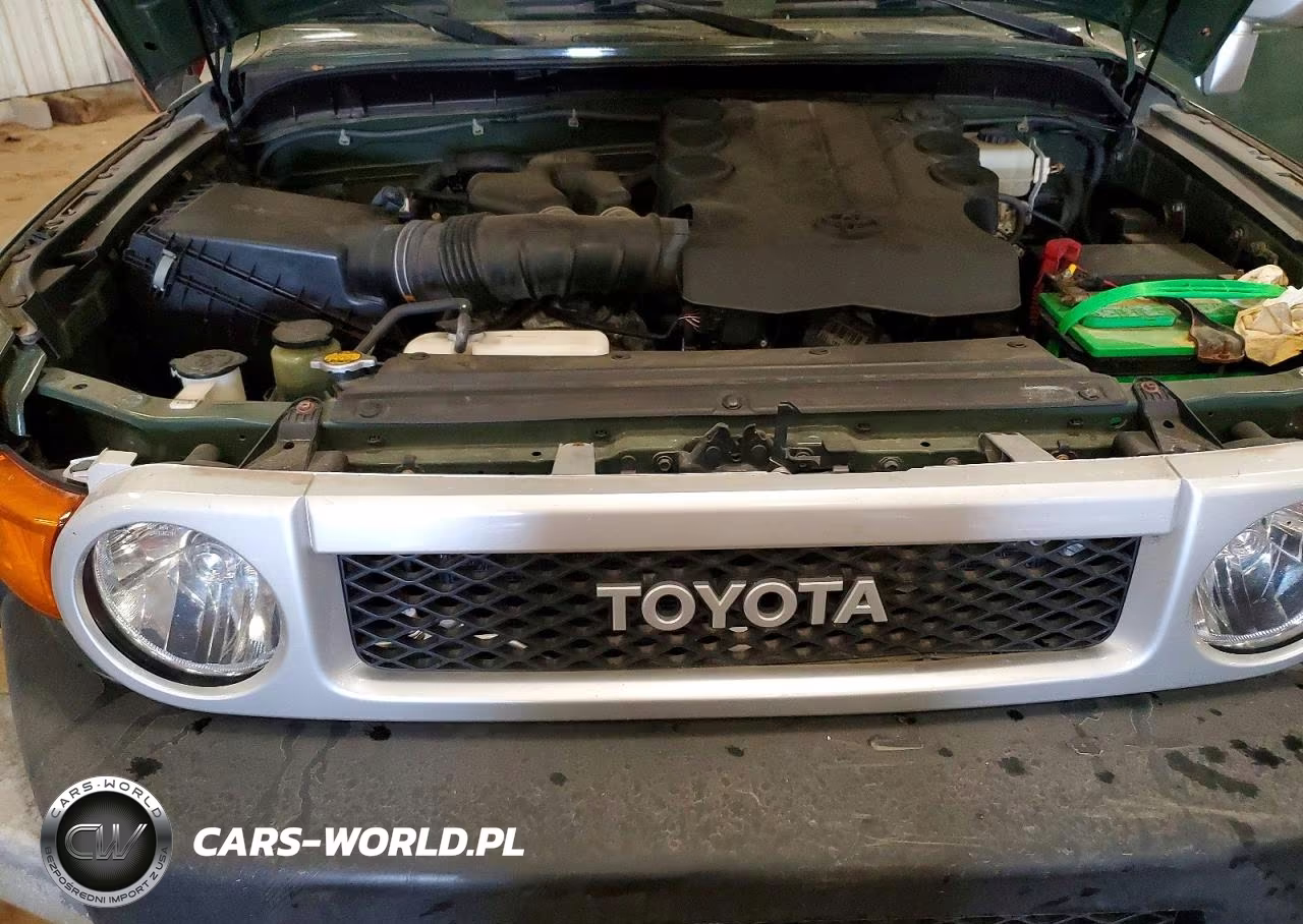 2010 Toyota Fj Cruiser Base VIN:JTEBU4BFXAK093438 - 11