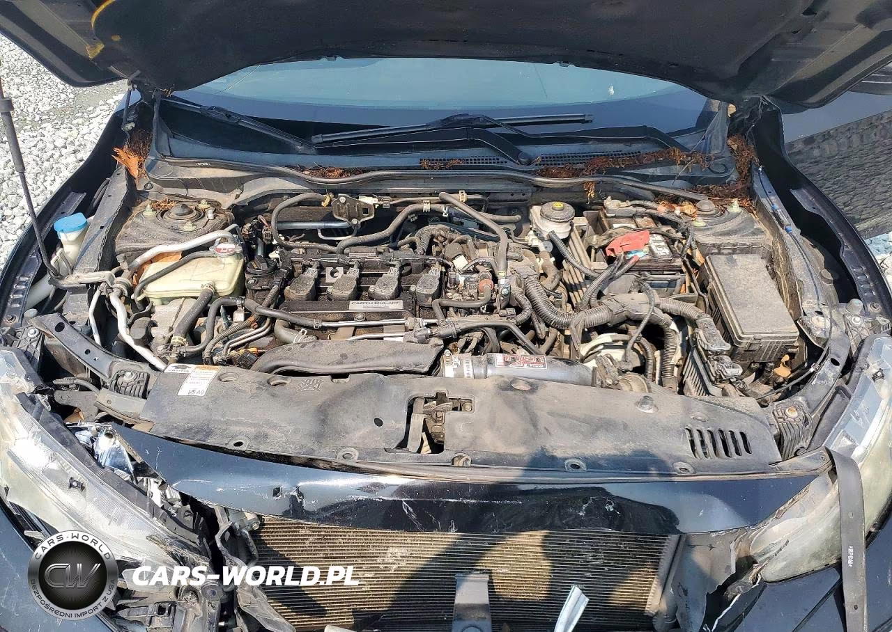 2017 Honda Civic Lx VIN:SHHFK7H21HU204448 - 11