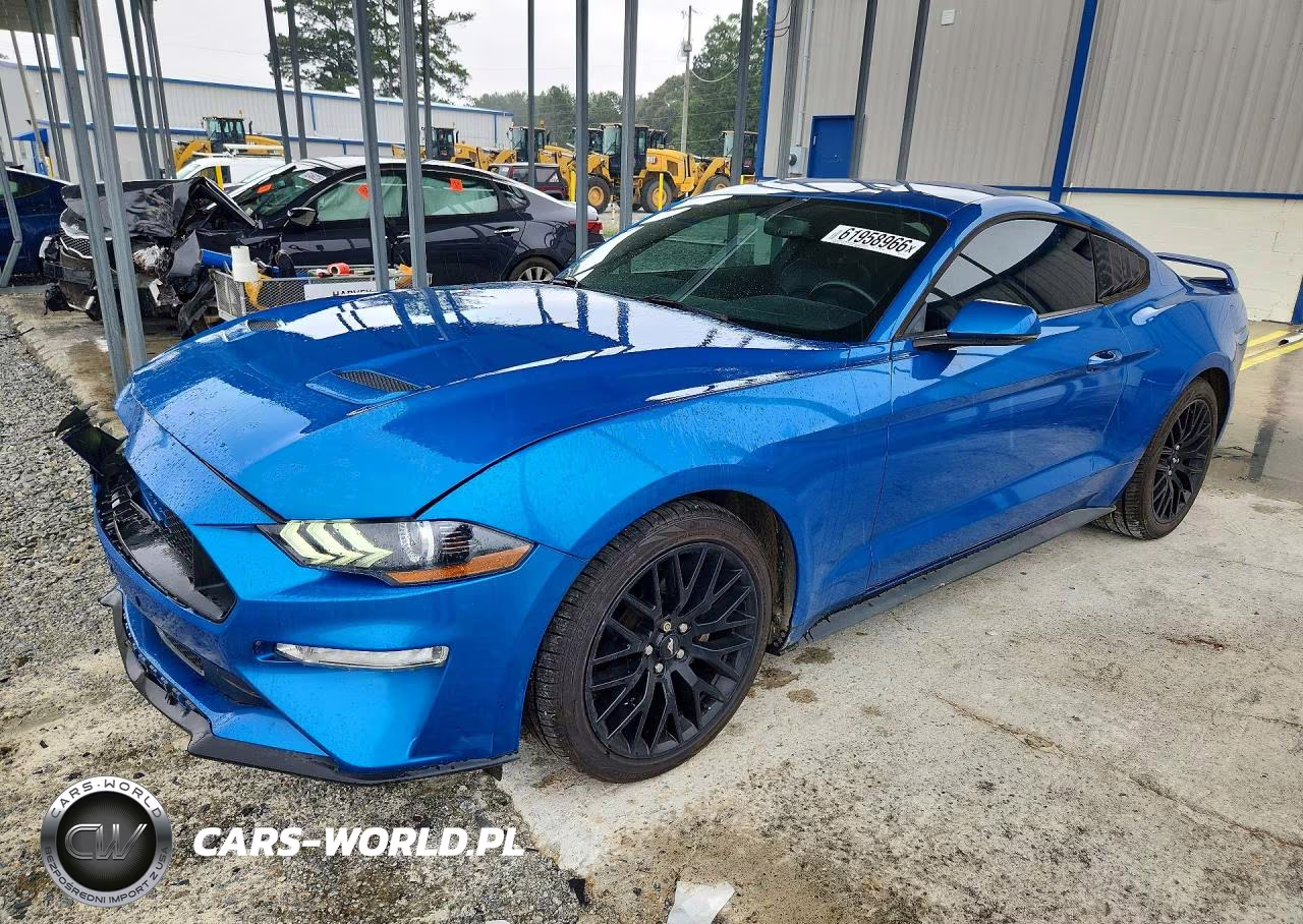 2019 Ford Mustang