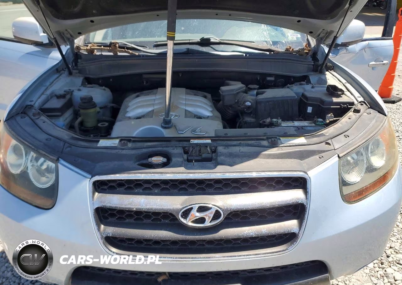 2007 Hyundai Santa Fe Se VIN:5NMSH73E07H069363 - 12