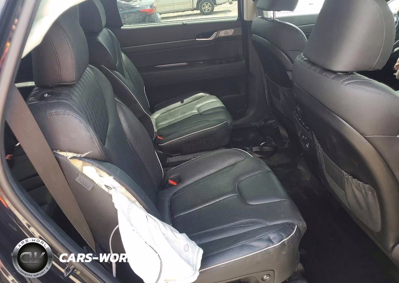 2024 Hyundai Palisade Limited VIN:KM8R5DGEXRU734406 - 11