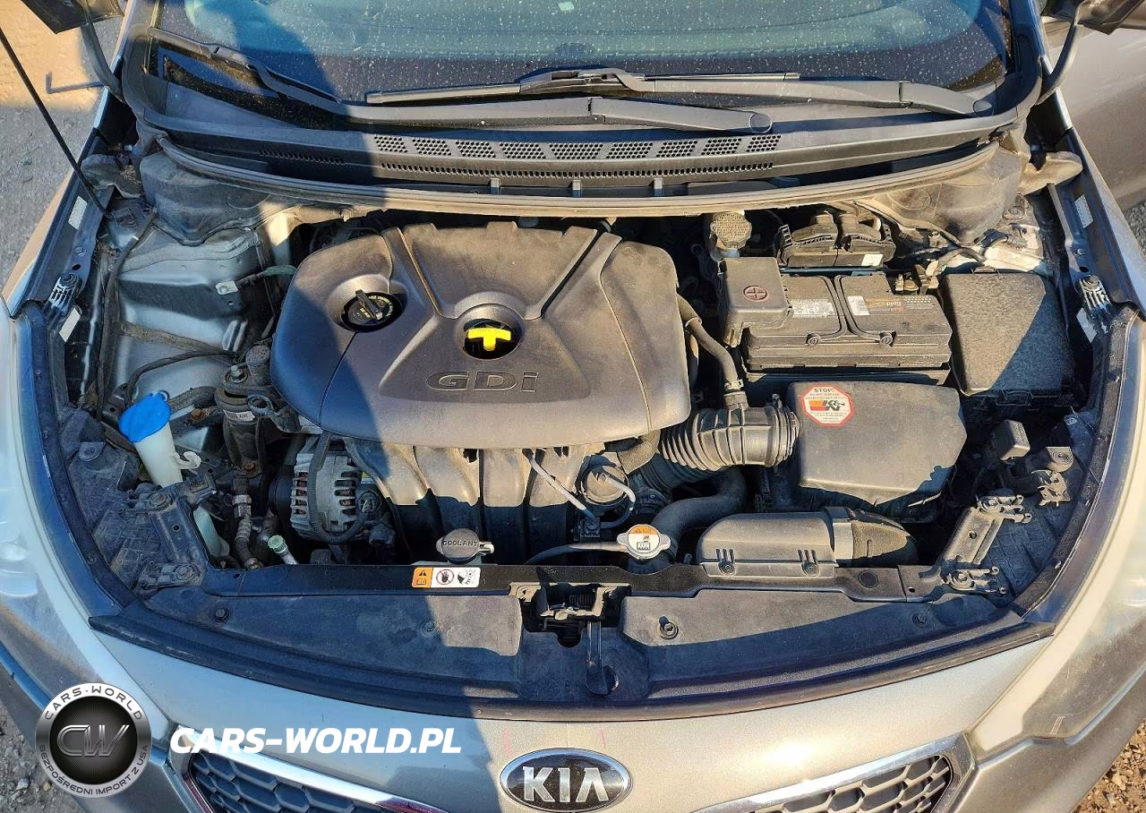 2016 Kia Forte5 Lx VIN:KNAFK5A85G5637465 - 11