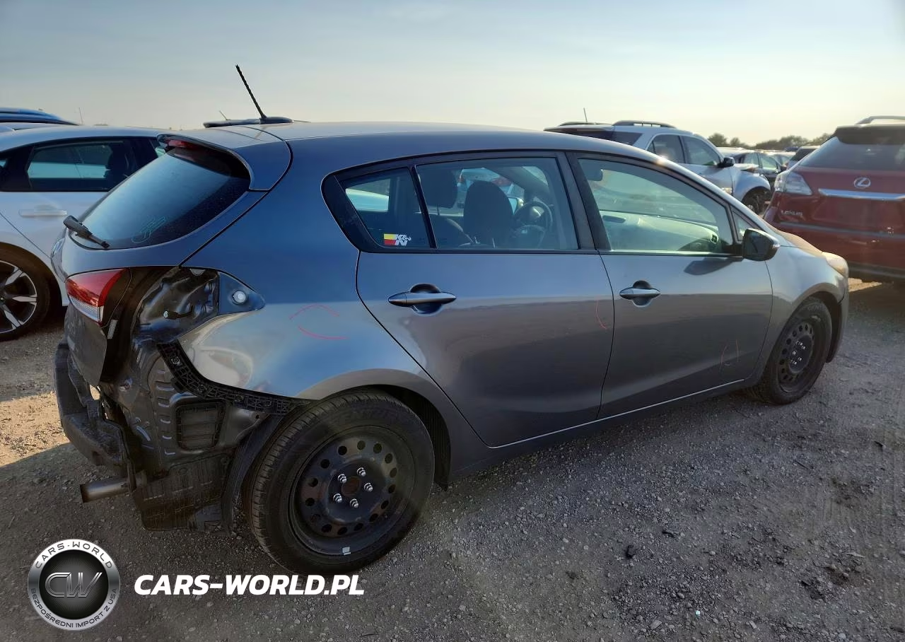 2016 Kia Forte5 Lx VIN:KNAFK5A85G5637465 - 3