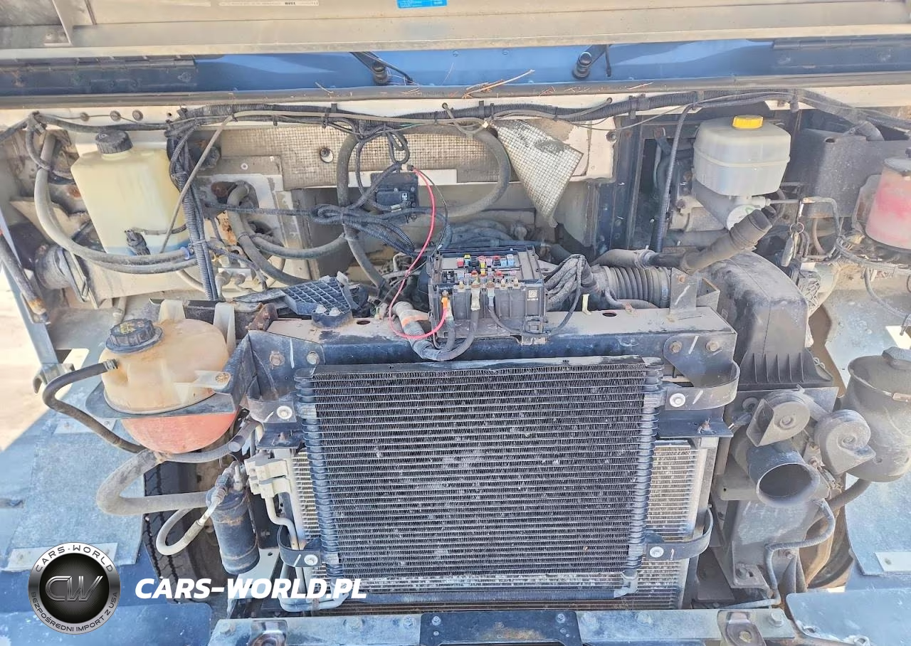 2021 Ford F59 Delivery Truck VIN:1F65F5KN9M0A01411 - 11