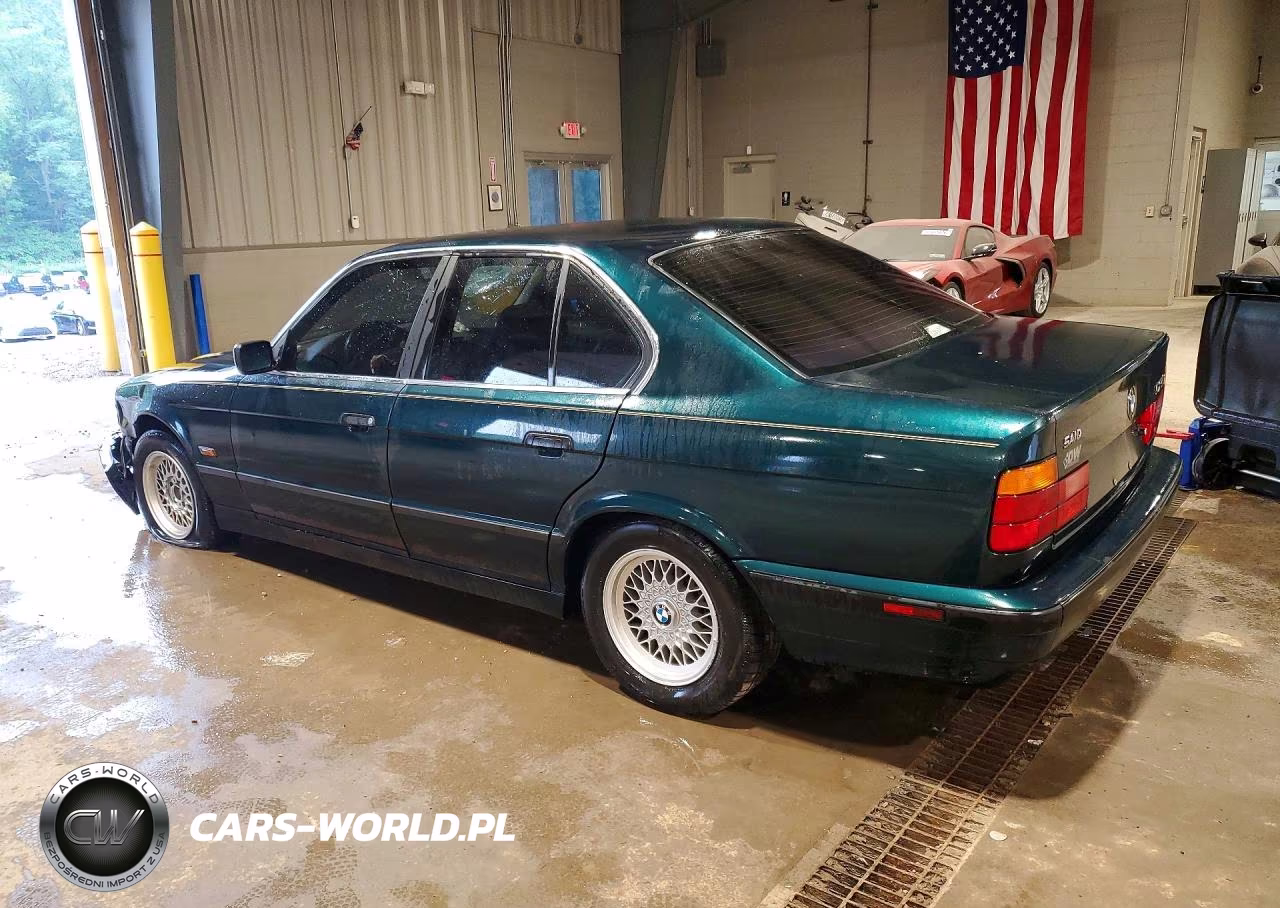 1995 BMW 525 I Automatic VIN:WBAHD6328SGK84685 - 2
