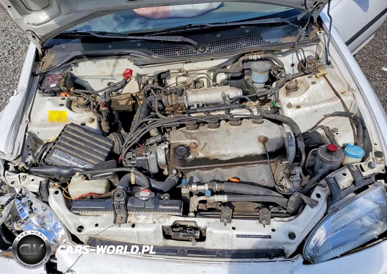 1994 Honda Civic Dx VIN:1HGEG8642RL012769 - 11