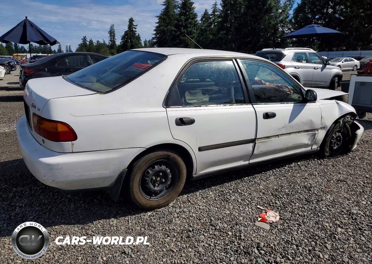 1994 Honda Civic Dx VIN:1HGEG8642RL012769 - 3