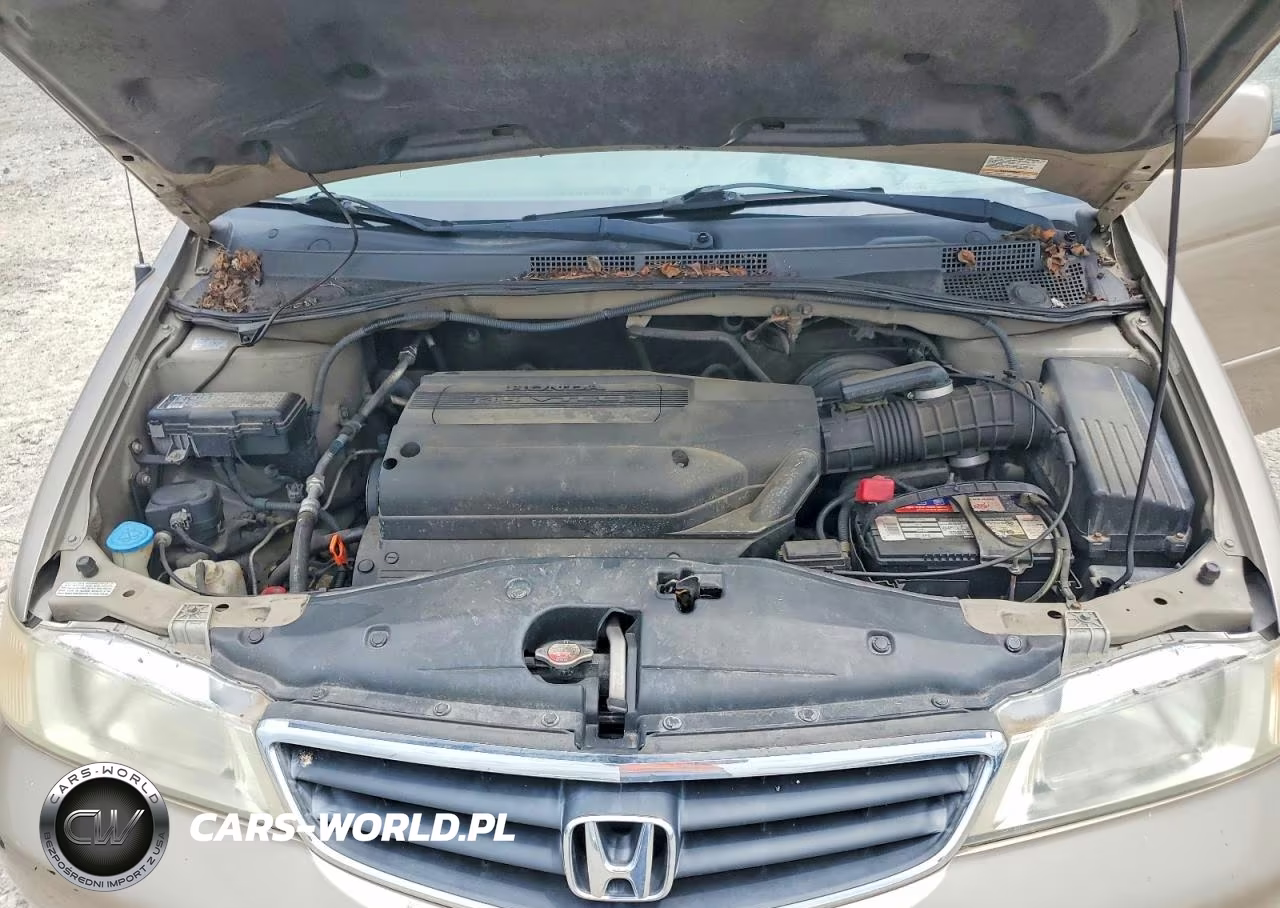 2003 Honda Odyssey Exl VIN:2HKRL18933H505481 - 11