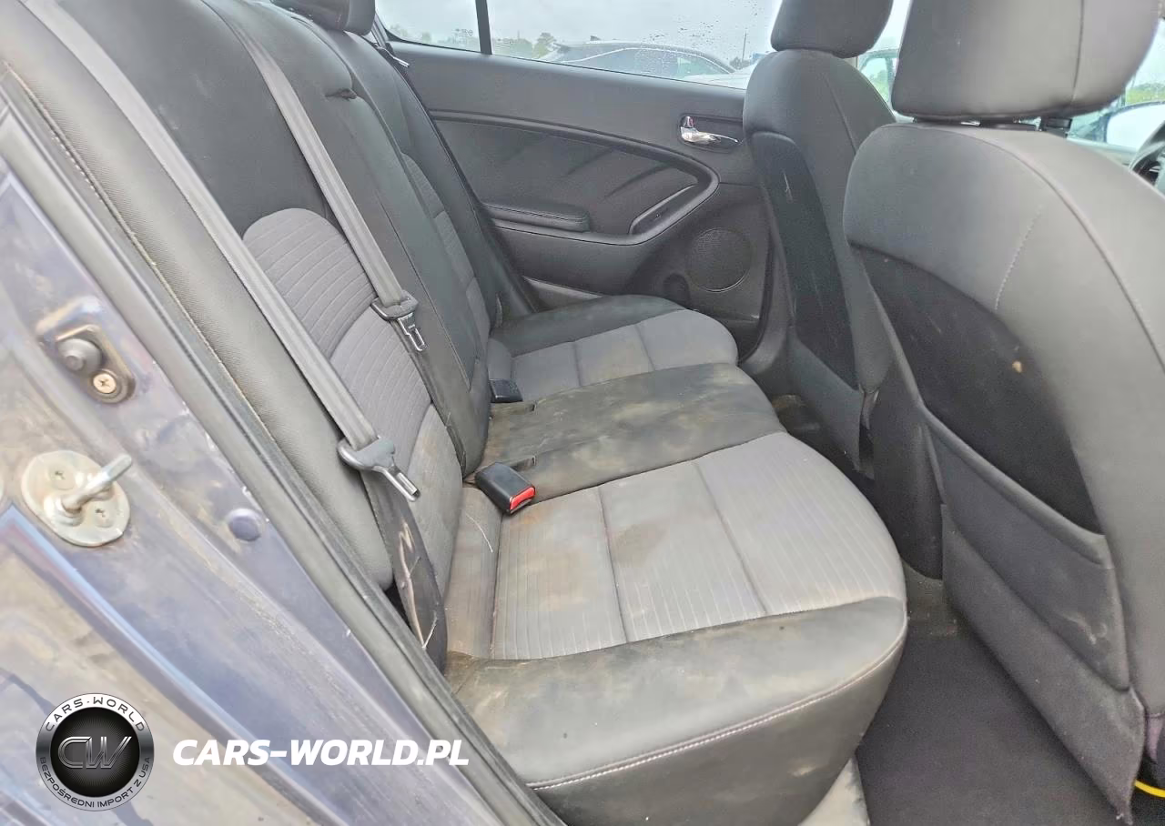 2014 Kia Forte Lx VIN:KNAFX4A67E5079674 - 10