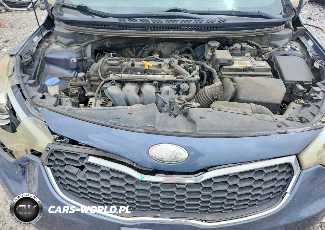 2014 Kia Forte Lx VIN:KNAFX4A67E5079674 - 11