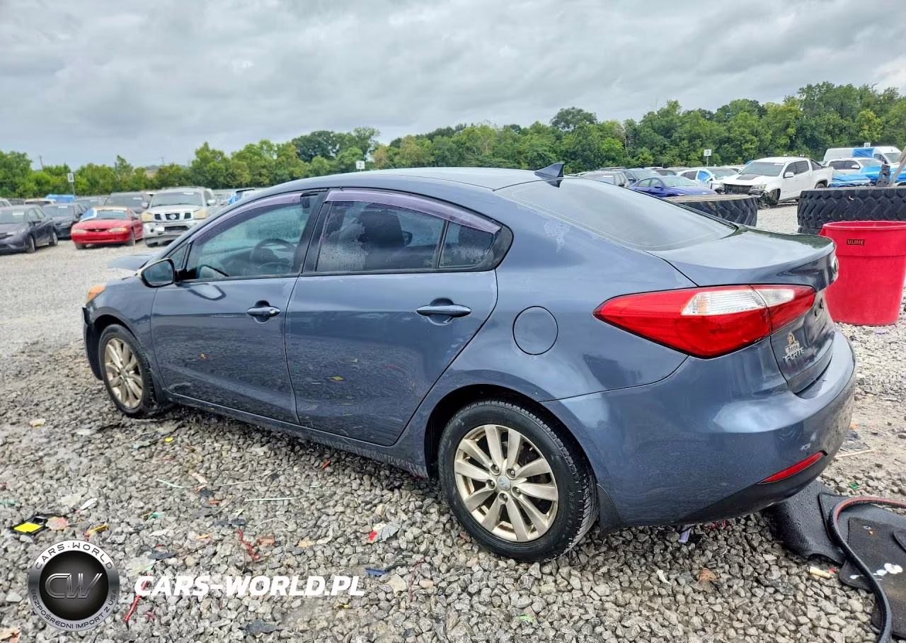 2014 Kia Forte Lx VIN:KNAFX4A67E5079674 - 2