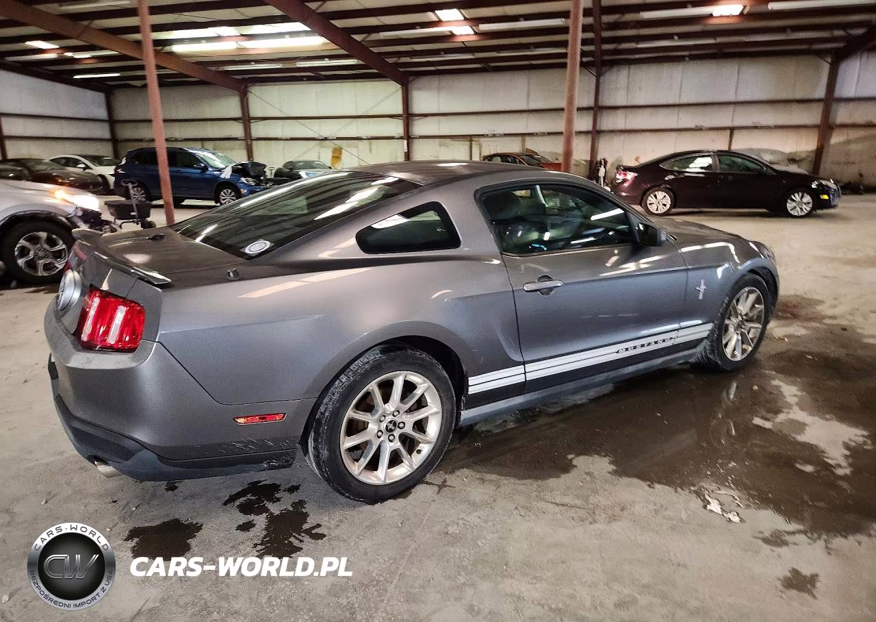 2010 Ford Mustang VIN:1ZVBP8ANXA5152687 - 3