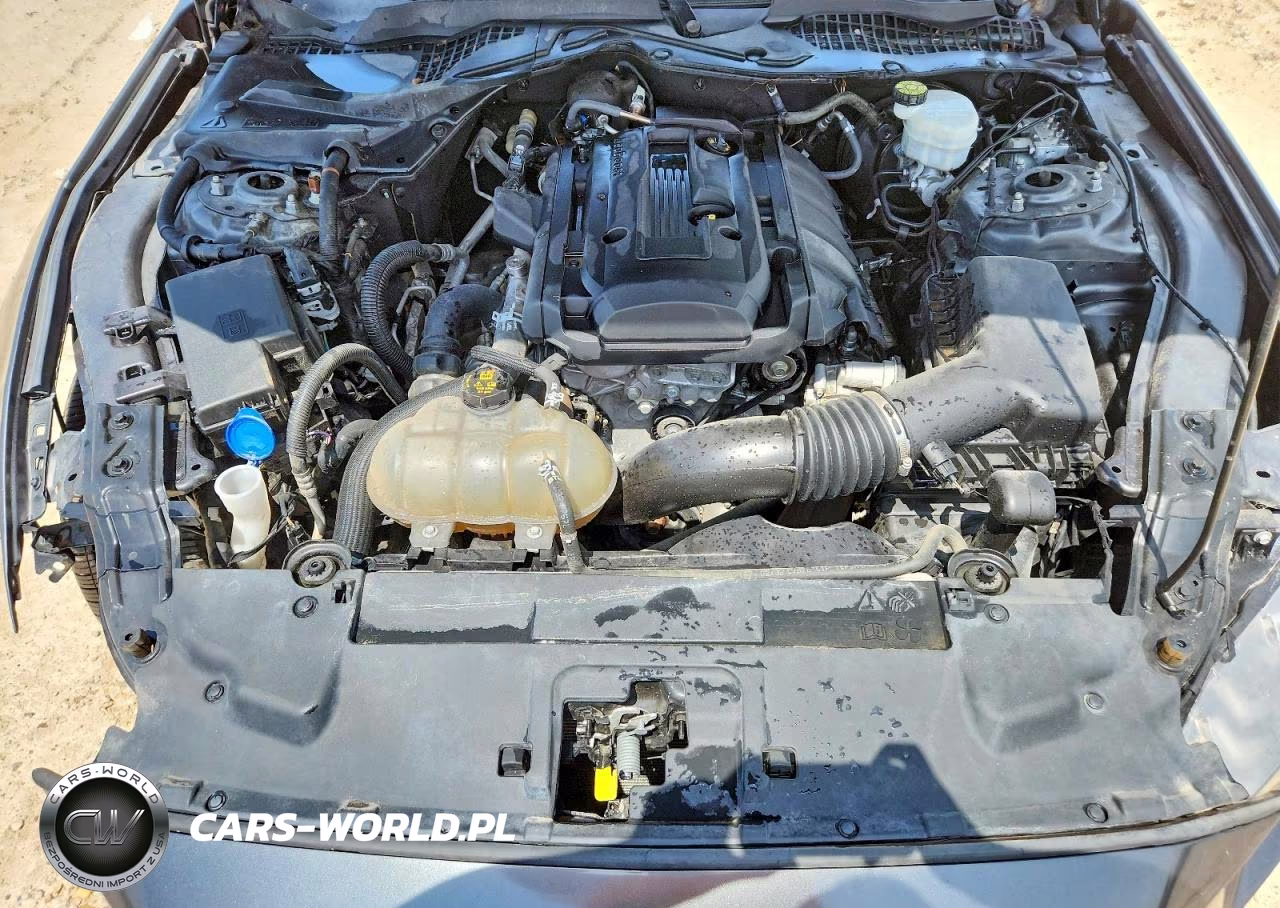 2020 Ford Mustang VIN:1FA6P8TH2L5138626 - 11