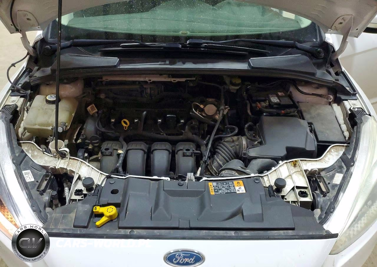 2016 Ford Focus Se VIN:1FADP3K27GL217394 - 11