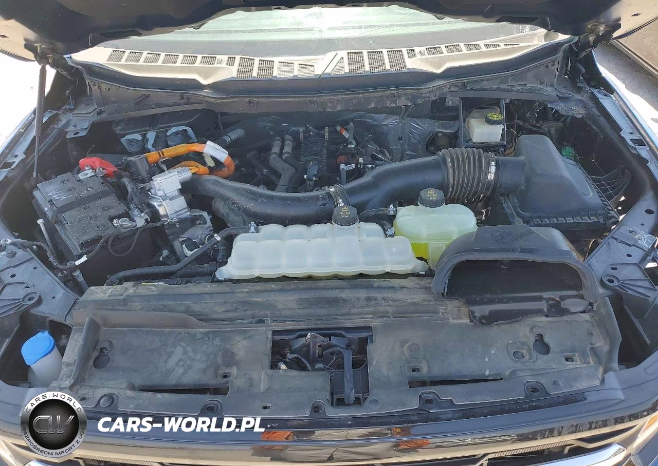 2024 Ford F150 Xlt VIN:1FTFW3LD0RFA73405 - 11