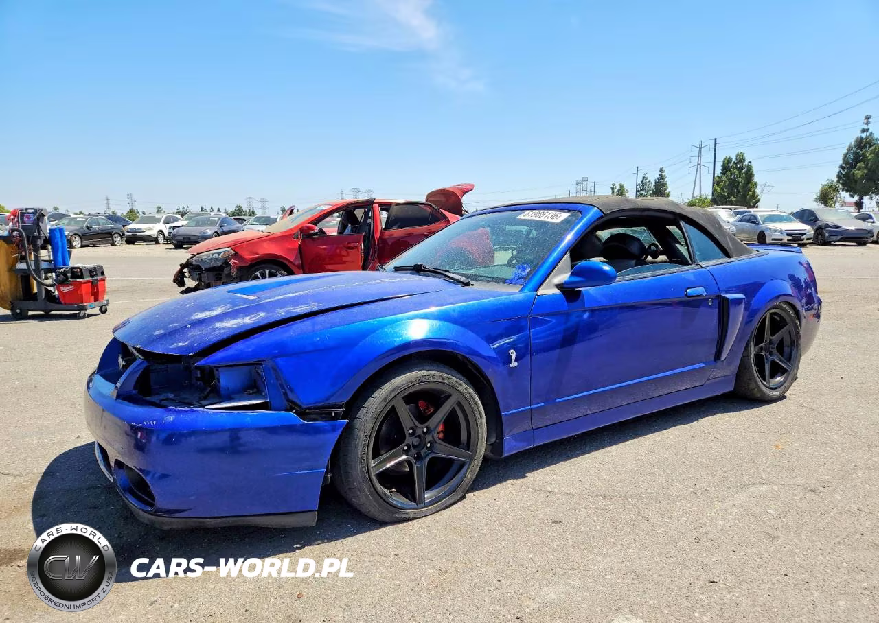 2003 Ford Mustang Cobra Svt VIN:1FAFP49Y13F302765 - 1