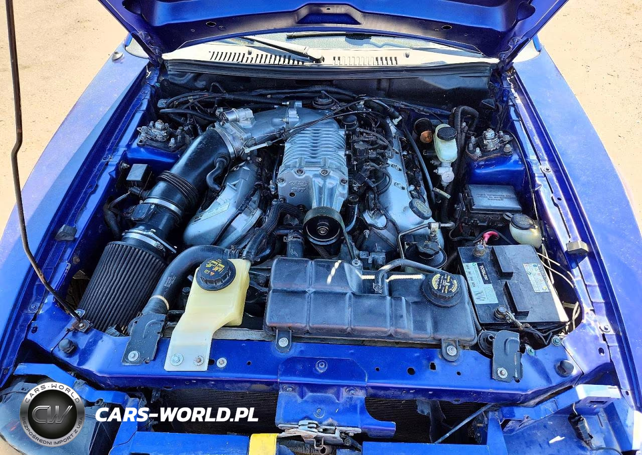 2003 Ford Mustang Cobra Svt VIN:1FAFP49Y13F302765 - 11