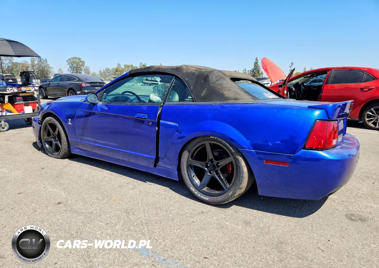 2003 Ford Mustang Cobra Svt VIN:1FAFP49Y13F302765 - 2