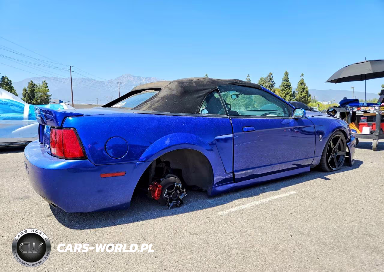 2003 Ford Mustang Cobra Svt VIN:1FAFP49Y13F302765 - 3