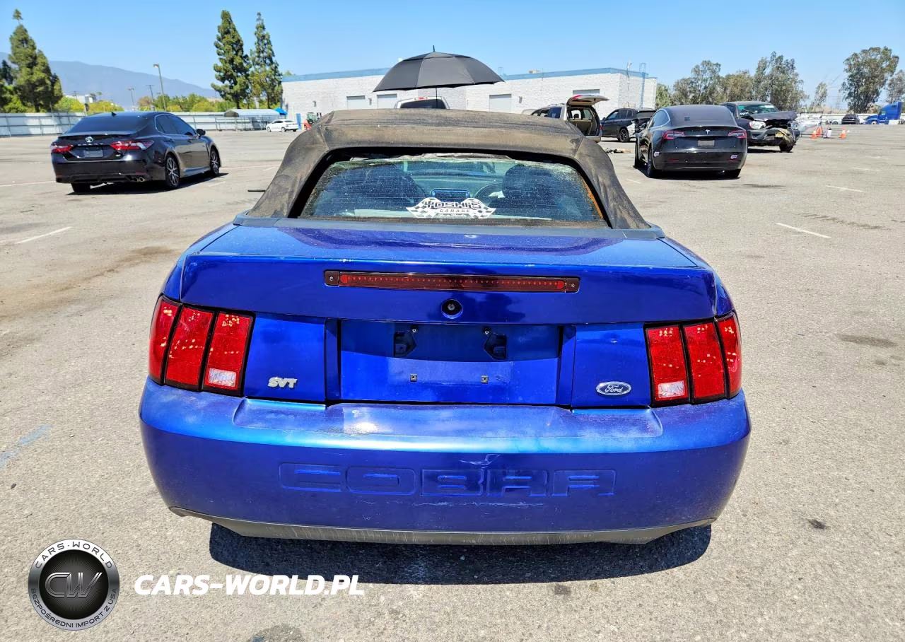 2003 Ford Mustang Cobra Svt VIN:1FAFP49Y13F302765 - 6
