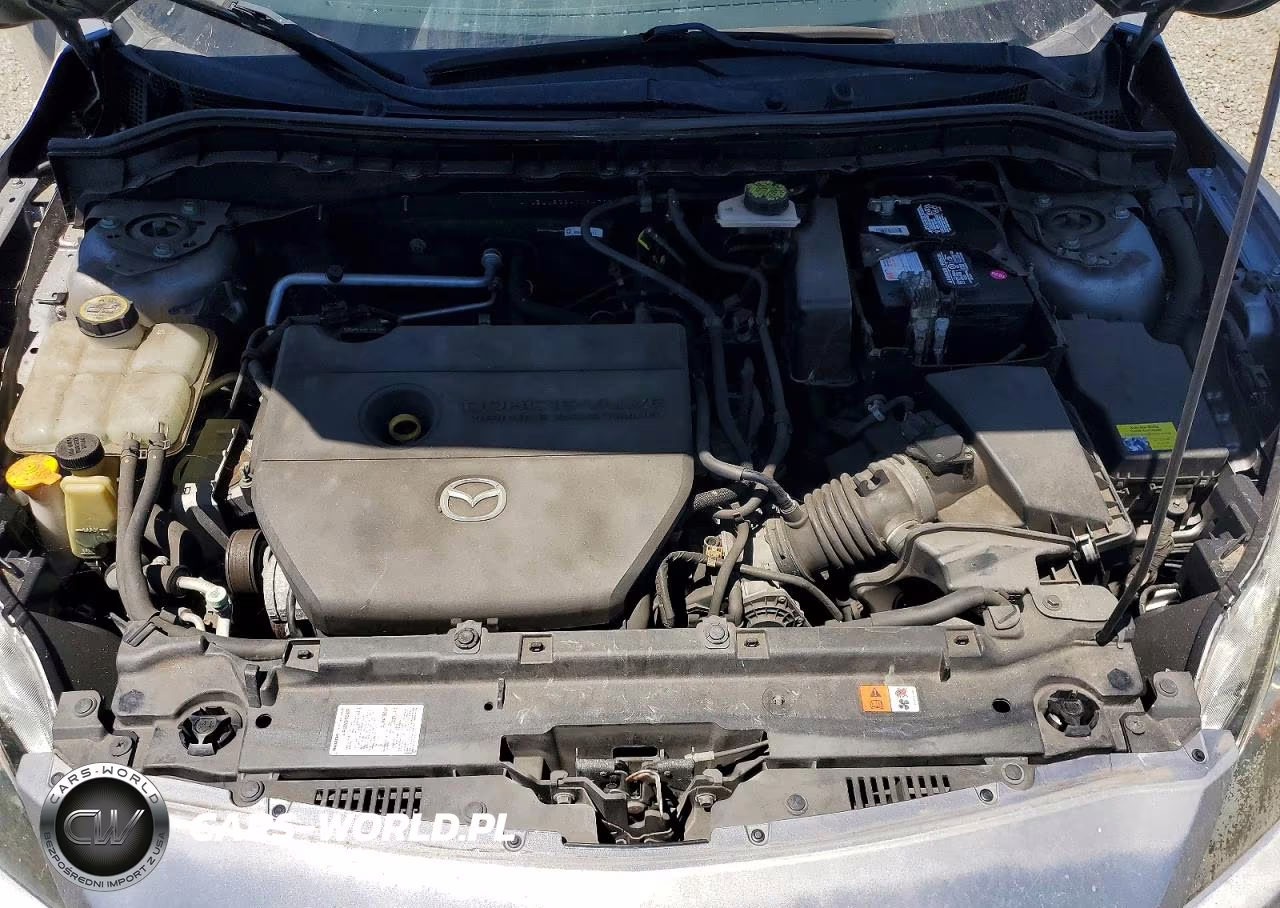 2010 Mazda 3 I VIN:JM1BL1SG9A1164701 - 12