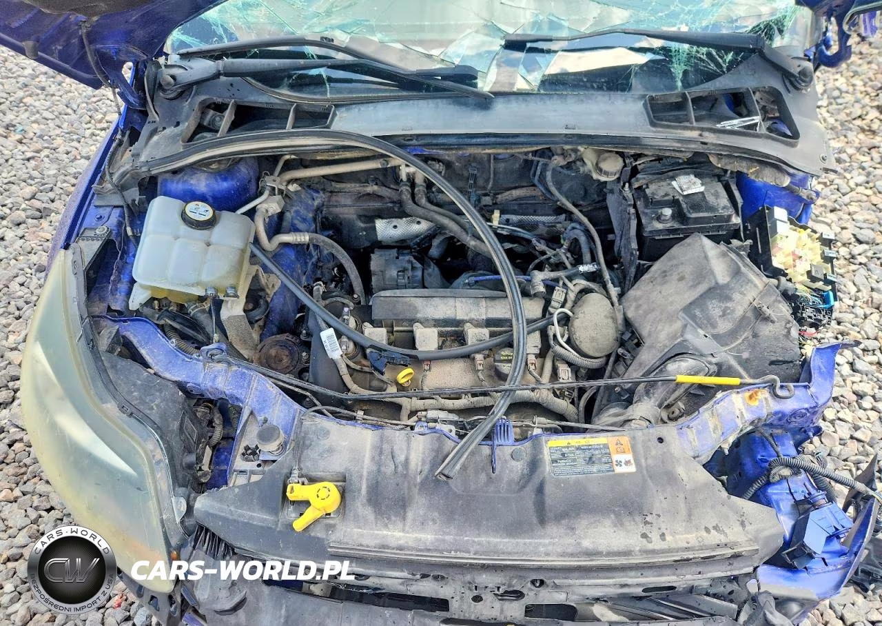 2013 Ford Focus Titanium VIN:1FADP3J25DL301162 - 11