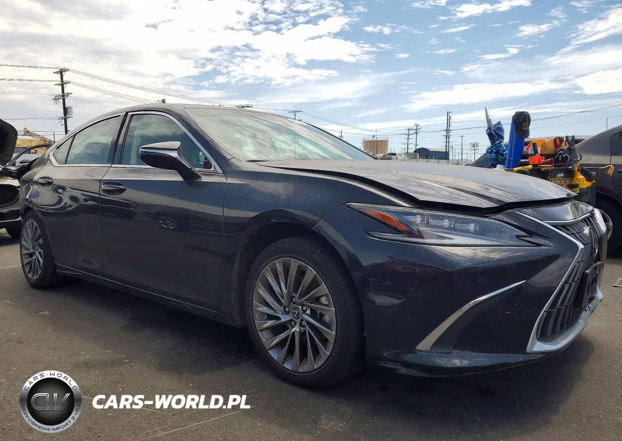 2025 Lexus Es 300H Luxury VIN:58AEA1C17SU073606 - 4