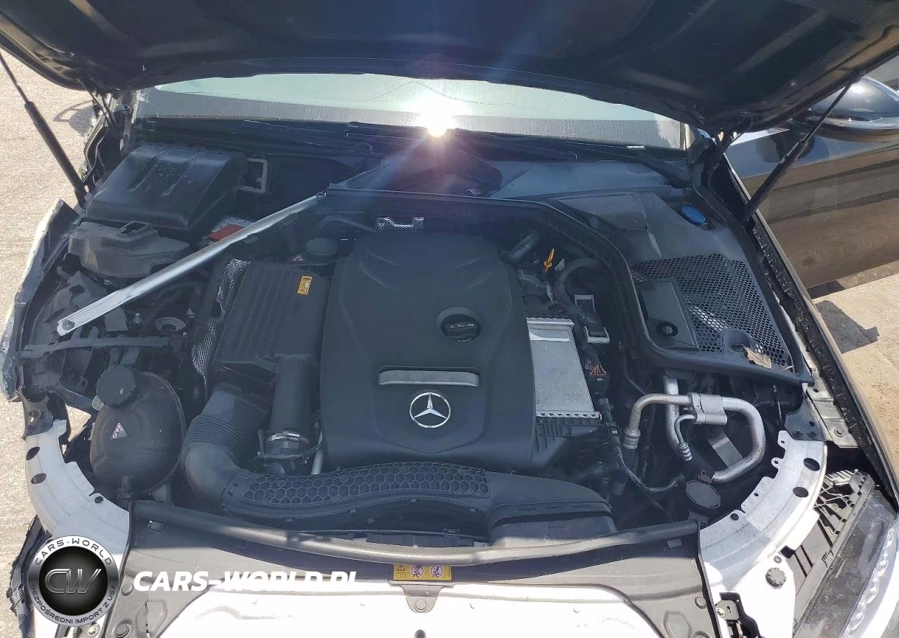 2016 Mercedes-Benz C 300 VIN:55SWF4JB3GU150307 - 11