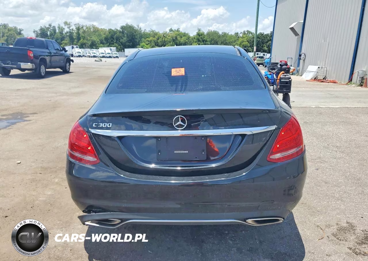 2016 Mercedes-Benz C 300 VIN:55SWF4JB3GU150307 - 6