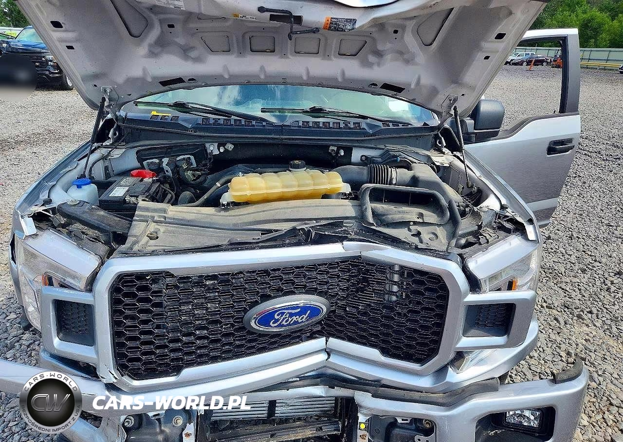 2020 Ford F150 Supercrew VIN:1FTEW1EP1LFA61116 - 11
