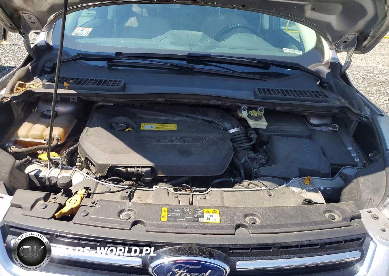 2013 Ford Escape Sel VIN:1FMCU9HX8DUA69648 - 12