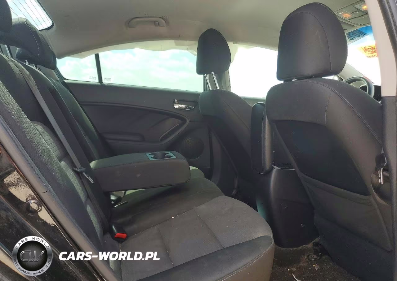 2014 Kia Forte Lx VIN:KNAFX4A65E5253032 - 10